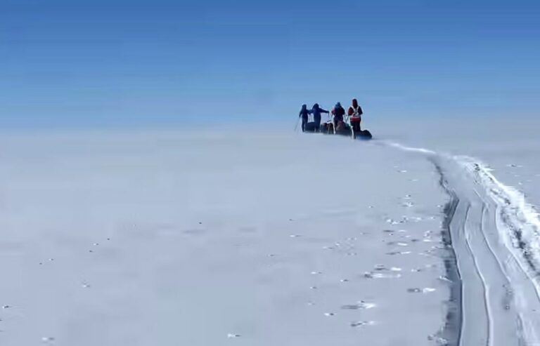 四名登山者在蓝色天空下的雪脊上行走