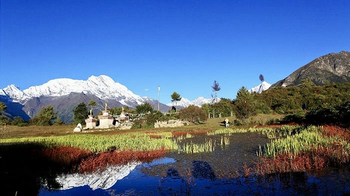 蓝天雪山下的湿地与红绿相间的草甸
