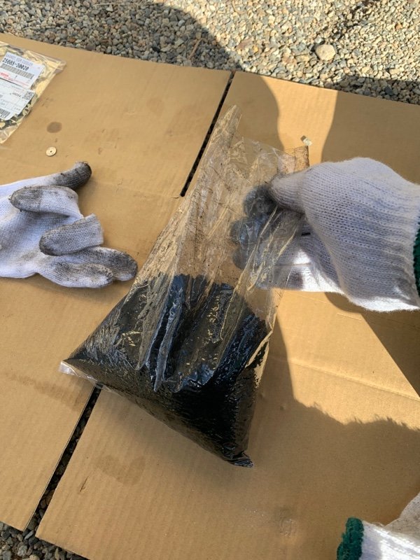 戴手套的手在户外纸板上拿着黑色颗粒袋