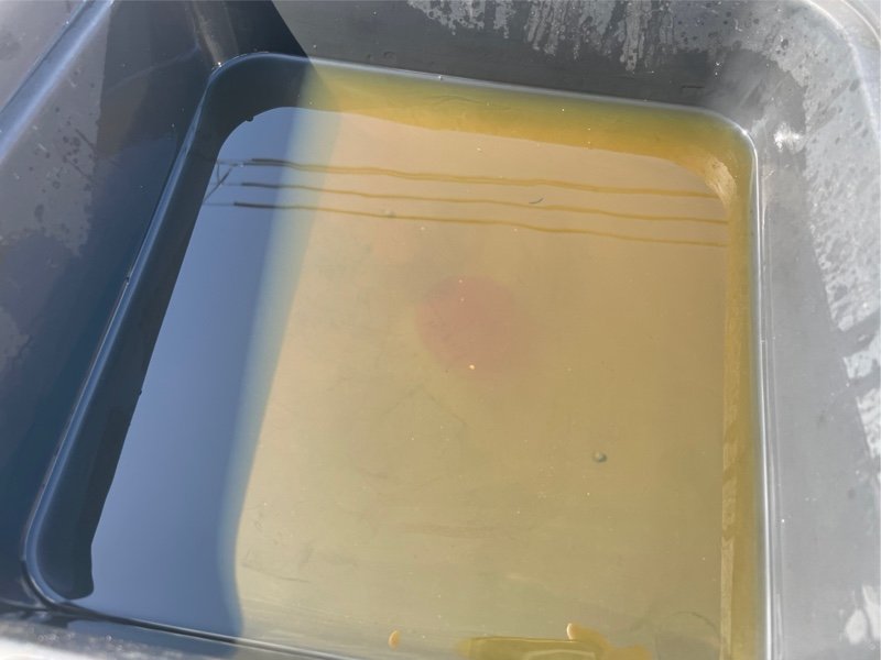 灰色塑料盆中盛有黄色浑浊液体